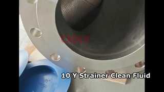 Kết nối mặt bích Y-Strainer 10" PN25 CF8M