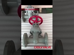 Van cửa gốc không tăng lên PN16