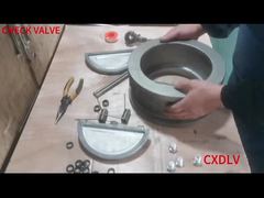 Lắp ráp van kiểm tra đĩa hai wafer