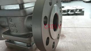 Kính ngắm van Kết nối mặt bích RF 300LB với cái mỏ