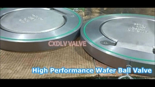 Van kiểm tra wafer xoay tấm đơn Ghế Viton