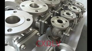 Van một chiều xoay kết nối mặt bích H44W