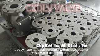 Kết nối mặt bích van một chiều xoay PN16