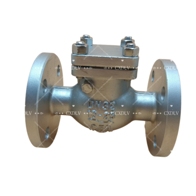 Van một chiều thép không gỉ kết nối mặt bích, áp suất 150LB cho nhà máy xử lý hóa chất