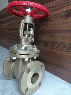 Van cổng thép không gỉ CF8 kết nối mặt bích cho ứng dụng công nghiệp và hạng nặng