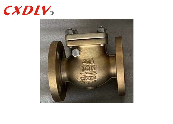 C95800 Đồng hợp kim Flange Ends Swing Check Valve JIS10K Cho xây dựng tàu