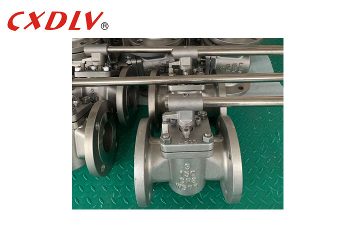 Hướng dẫn hoạt động 2 chiều Valve cắm tay áo CF8 Cơ thể Valve Quarter-turn with Handle Lever Hoạt động 3 Inch 150LB RF