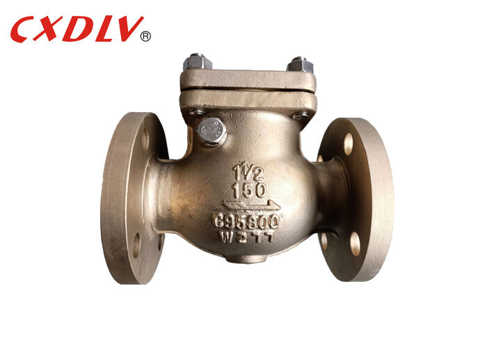 Van một chiều mặt bích chắc chắn bằng thép không gỉ 304 nằm ngang 6 inch thích hợp cho công nghiệp chống búa nước và đảm bảo hoạt động của máy bơm