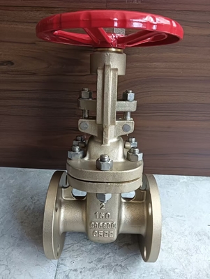 Van cổng thép không gỉ CF8 kết nối mặt bích cho ứng dụng công nghiệp và hạng nặng